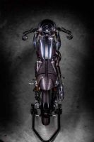 hedonic-amazing000-sd-1500px-5