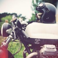 IMG_0889.jpg_effected