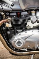 Ndp_Triumph_thruxtonizate_04