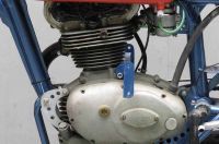 Trialbero28