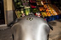mg_4154