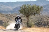 TIGER_1200_Press_Ride_11-17_181
