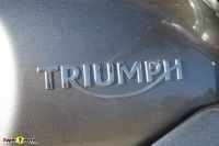 ThruxtonTrackRacer_25