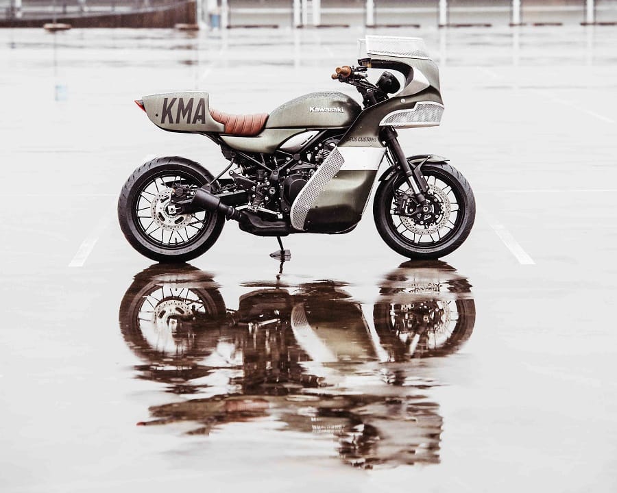 KawasakiGoose 14