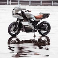 KawasakiGoose-1