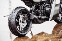 KawasakiGoose-11