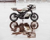 KawasakiGoose-14