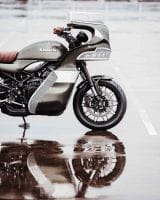 KawasakiGoose-15