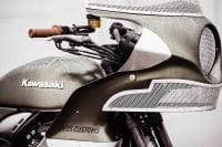 KawasakiGoose-18
