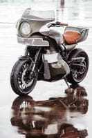 KawasakiGoose-2