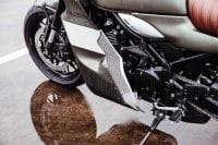 KawasakiGoose-23