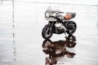 KawasakiGoose-3