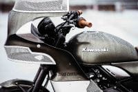 KawasakiGoose-5