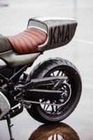 KawasakiGoose-6