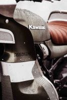 KawasakiGoose-7