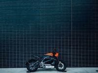 H-D-115-LIVEWIRE-20