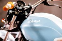 Harry_Mark-Deus-Verza068