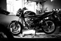 Harry_Mark-Deus-Verza235
