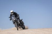 Ndp_Triumph_Tiger800_disponibilidad_55