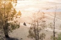 Ndp_Triumph_Tiger800_disponibilidad_60