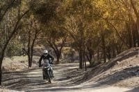 Ndp_Triumph_Tiger800_disponibilidad_64