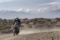 Ndp_Triumph_Tiger800_disponibilidad_70