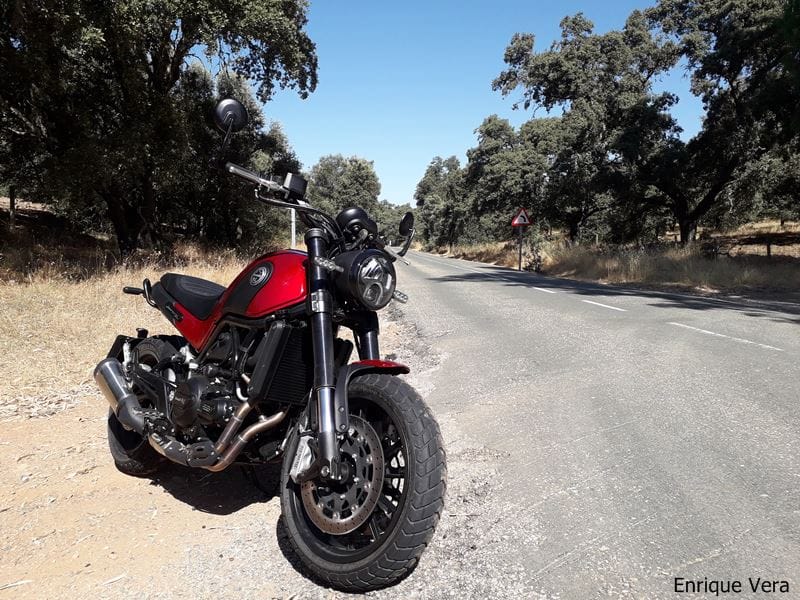 Benelli Leoncino 500 13