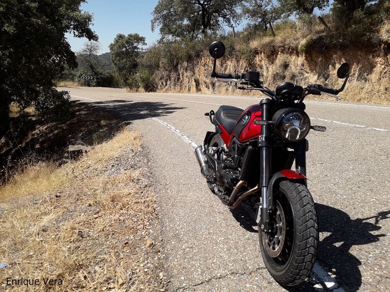 Benelli Leoncino 500 14
