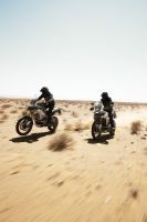 Ndp_Triumph_Tiger_900_007