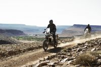 Ndp_Triumph_Tiger_900_009