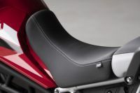 Ndp_Triumph_Tiger_900_019