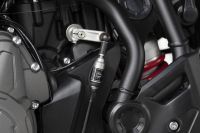 Ndp_Triumph_Tiger_900_022