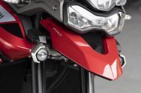Ndp_Triumph_Tiger_900_033