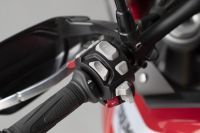 Ndp_Triumph_Tiger_900_038