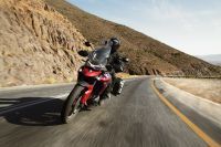 Ndp_Triumph_Tiger_900_046