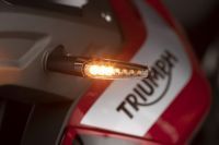 Ndp_Triumph_Tiger_900_051