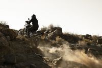 Ndp_Triumph_Tiger_900_061