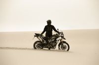 Ndp_Triumph_Tiger_900_063