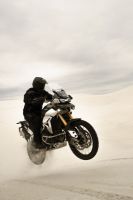 Ndp_Triumph_Tiger_900_075