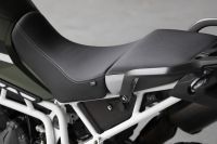Ndp_Triumph_Tiger_900_091