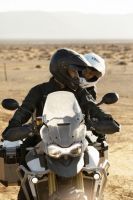 Ndp_Triumph_Tiger_900_097