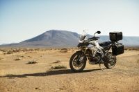Ndp_Triumph_Tiger_900_101