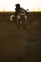 Ndp_Triumph_Tiger_900_102