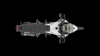 Ndp_Triumph_Tiger_900_261