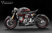 GANNET-Panigale-Norway1s
