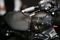 rizomaEICMA02