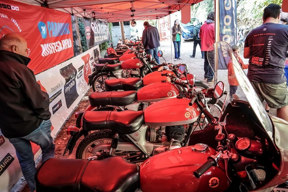 Montesada2019 8