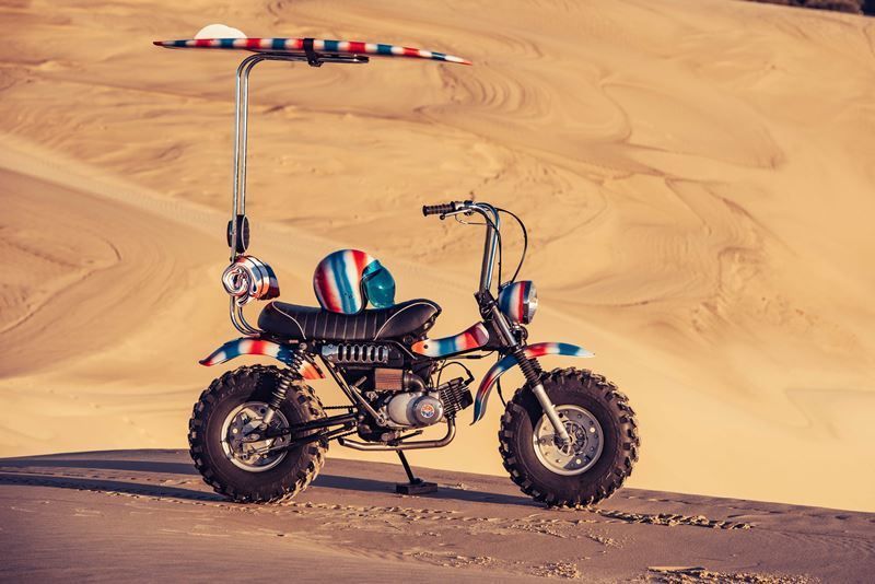 The Goof Bike Deus Ex Machina 5