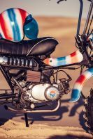 The_Goof_Bike_Deus_Ex_Machina_12