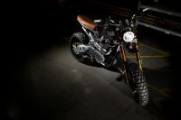 NDP_TRIUMPH_TFC_42